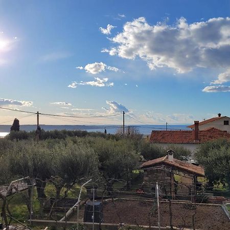 Apartma Isabella Sečovlje Buitenkant foto